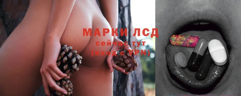 blacksprut как войти  как найти закладки  Кадников  Лсд 25 экстази ecstasy 